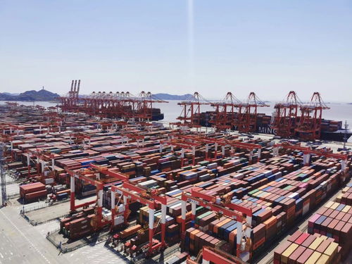 图文互动 上海港生产运营如常 集装箱船未见拥堵