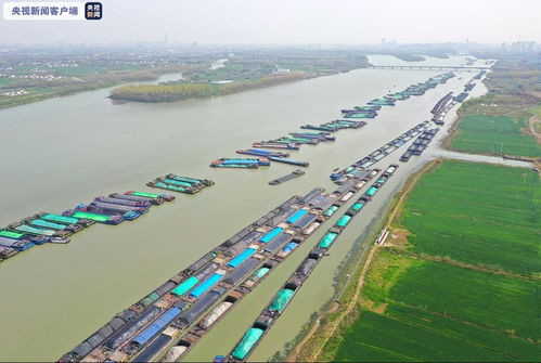江苏省江河海港运营全面恢复 集装箱业务正呈恢复性增长